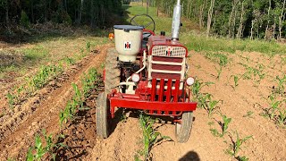 2nd hilling of corn with the farmall 140 June 11 [upl. by Noskcaj]