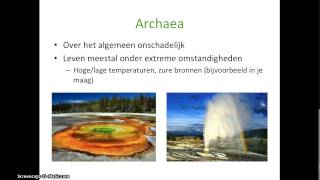 Basisstof 2  De domeinen bacteriën en archaea Thema 4  Ordening [upl. by Aldous406]