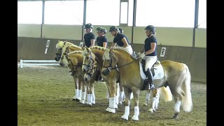 Quadrille des Haflinger Freundeskreis SHHH Pfingsten 2022 Pony Park Padenstedt [upl. by Westbrook]