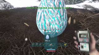 ARK RAGNAROK 5 UBICACIONES DE HUEVOS DE WYVERN DE HIELO [upl. by Noelyn]