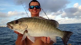 EPIC Shallow Water Snapper Fishing Catch Clean Cook  Mangrove Snapper Fish Gyros [upl. by Rodnas]