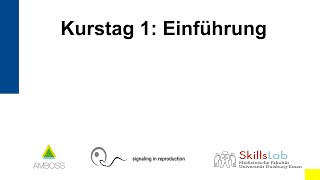 Vorklinischer Sonographie Kurs 1 Einführung [upl. by Ibrad]