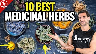 Top 10 Best Medicinal Herbs  For Health amp Vitality [upl. by Clevey]