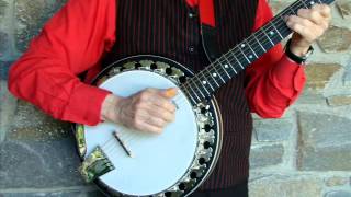 Ronnie Evans Deering six string banjo IIwmv [upl. by Rayham]