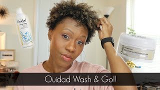 Ouidad Wash amp Go natural hair [upl. by Odracir]