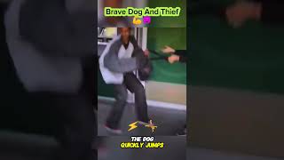 quotHero Dog Saves Owner’s Moneyquot🐕💪ATMHeistHeroDogattack dog braveanimals shorts [upl. by Rhyner699]