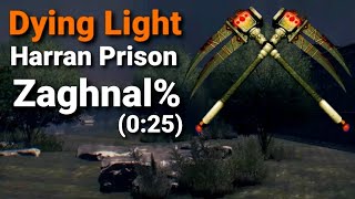 Dying Light  Zaghnal Speedrun 025 [upl. by Stila499]