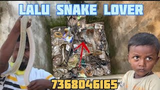 Lalu snake lover Jharkhand barkakhana ghutva 7368046165 snake lover [upl. by Durstin]