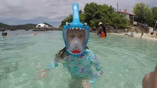 Snorkeling A Beautiful Tropical Reef In The Virgin Islands [upl. by Eniwtna]