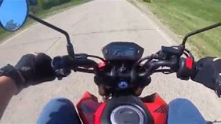 2020 Honda Grom  Top Speed Run big guy edition [upl. by Vitoria]