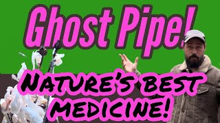 Nature’s Best Medicine The Ghost Pipe [upl. by Darin]