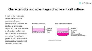 Cell suspension culture  Technique involved  Notes  Procedure  Bioreactor  Bio science [upl. by Nedah]