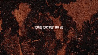 Hozier  Too Sweet Official Lyric Video [upl. by Enyallij]