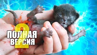 Спасение новорожденного котенка Полная версия 2  SANI vlog [upl. by Adnilreh]