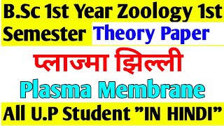 Plasma MembraneStructureChemical CompositionModel of plasma Membrane Functionin hindi l [upl. by Adlez]