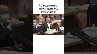 【小野田紀美】何のため？プラスチックごみの分別について｜小野田紀美議員のエピソード18 雑学 [upl. by Freya]