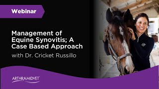 Webinar  Management of Equine Synovitis A Case Based Approach [upl. by Nnylatsyrc]