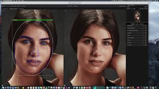 PortraitPro 18 StudioMax Preset and Snapshots [upl. by Gnanmas]