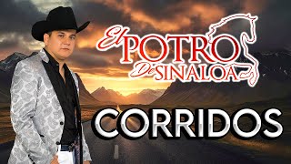 El Potro De Sinaloa  Puros Corridos Perrones Con Banda Album Completo [upl. by Franchot31]