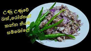 Lets make a salmon salad easily  රසම රස සැමන් සම්බෝලේ  Episode 50 [upl. by Hilbert]