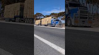 the Moober eats Cow Cake Roadtrain in action💙🩶🇦🇺 kenworth kenworthtruck hay roadtrain [upl. by Ybbob663]