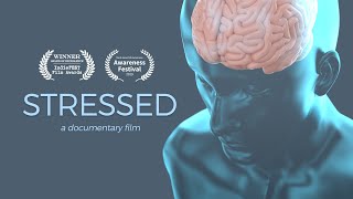 Stressed  A Documentary Film  4K OFFICIAL [upl. by Anayeek902]