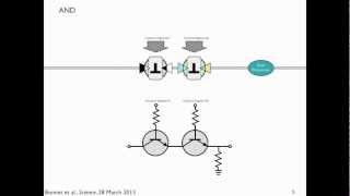 Transcriptors amp Boolean Integrase Logic BIL gates explained [upl. by Erdei338]