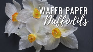 How to Make Wafer Paper Daffodils  free template download Wafer Paper Friday Ep 3 [upl. by Aid]