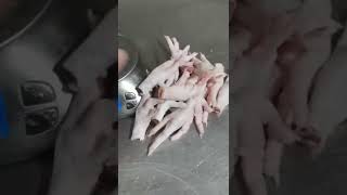 Chicken paws grade a 30 premium quality from Russia 4000 usd fca plant [upl. by Merill189]