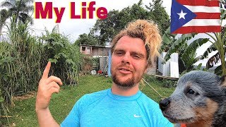 A Typical Day of My Life Living in the Mountains of Puerto Rico  Vlog 90 [upl. by Thirion]