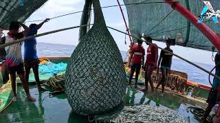 Deep Sea Fishing Videos  Giant Trevally Fish Latest Video Updates  Kadal TV [upl. by Oni536]