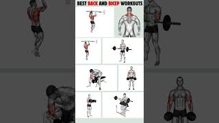 7 Best Back And Bicep Workout at Home for Strength workout backworkout bicepsworkout [upl. by Ahsilak]