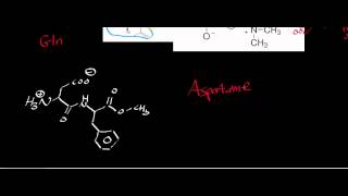 Biochemistry  Catabolism of Asparagine amp Aspartate to Oxaloacetate [upl. by Thesda574]