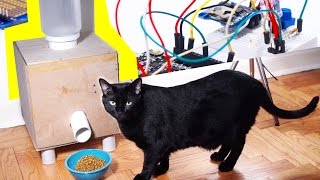 HOW TO Automatic Cat Feeder DIY Tutorial [upl. by Lockwood]