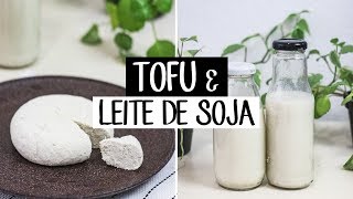 COMO FAZER TOFU E LEITE DE SOJA  MUITO FÁCIL orgânico e por menos de R300 [upl. by Apostles334]