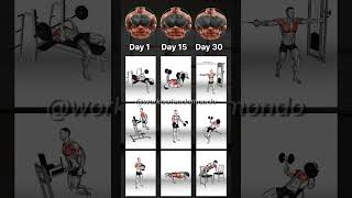 30DAY EPIC CHEST WORKOUT Transform Your Chest Fast [upl. by Werdna]