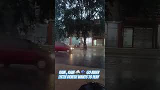 5 Shocking Effects of Torrential Rains on Coimbatore [upl. by Dennie]