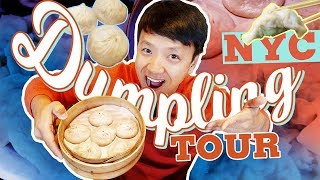 BEST DUMPLINGS in New York Dumpling Tour of New York City [upl. by Dunston]