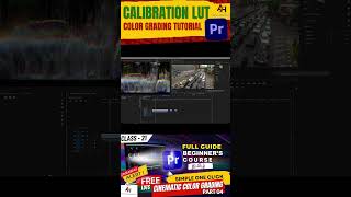 Master Calibration LUTs in Premiere Pro in 60 Seconds 🎨✨ [upl. by Kcajyllib]