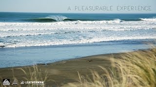 A Pleasurable Experience [upl. by Namaj]