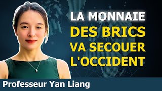 Le système financier des BRICS  du jamais vu   Prof Yan Liang [upl. by Yerroc]