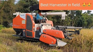 Kubota king pro 👑Best harvester working in field🤩🤩 [upl. by Eixel]