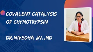 Mechanism of action of Chymotrypsin by Covalent catalysis [upl. by Gerge]