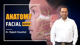 Facial Nerve Anatomy Simplified  Dr Rajesh Kaushal  PrepLadder NEET PG [upl. by Fulviah532]