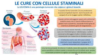 LE CURE CON CELLULE STAMINALI [upl. by Pine]