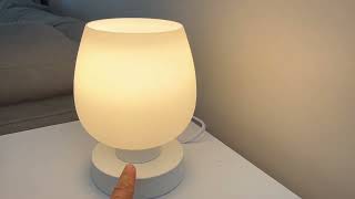 Review of Bedside Table Lamp w Glass Shade amp Touch Control amazonfinds bedroomdecor [upl. by Hyrup817]