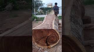 Husqvarna Chainsaw VS Big Wood chainsaw husqvarna shorts 1442 [upl. by Wenn426]