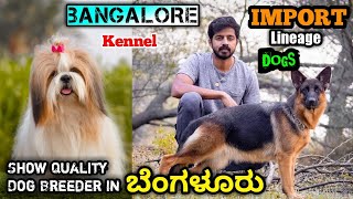 Bangalore Kennel  Show Quality Dog Breeder In ಬೆಂಗಳೂರು  Import Lineage Dogs Kennel interview [upl. by Volnay950]