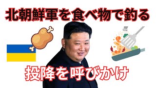 「1日3食と快適な部屋がある」ウクライナが北朝鮮兵に投降呼びかけ【面白い北朝鮮ニュース・金正恩】 [upl. by Novi]