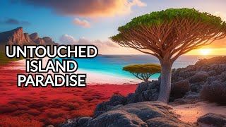 Discover the Untouched Beauty of Socotra Island [upl. by Annohsal]